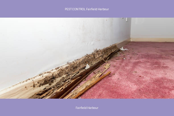PEST CONTROL Fairfield Harbour
